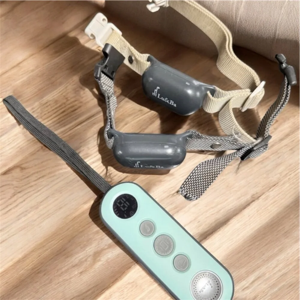 Training collars